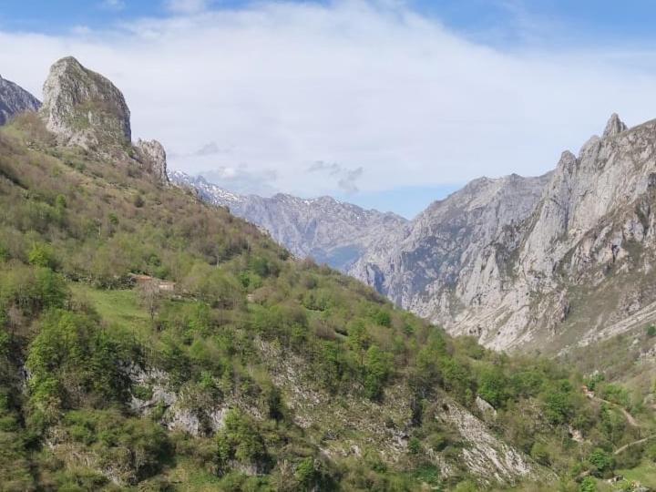 La Casina De Tielve De Cabrales Dentro Del Parque Nacional Picos De Europa Villa Ngoại thất bức ảnh